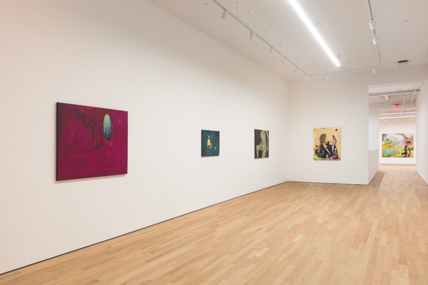 Hortensia Mi Kafchin