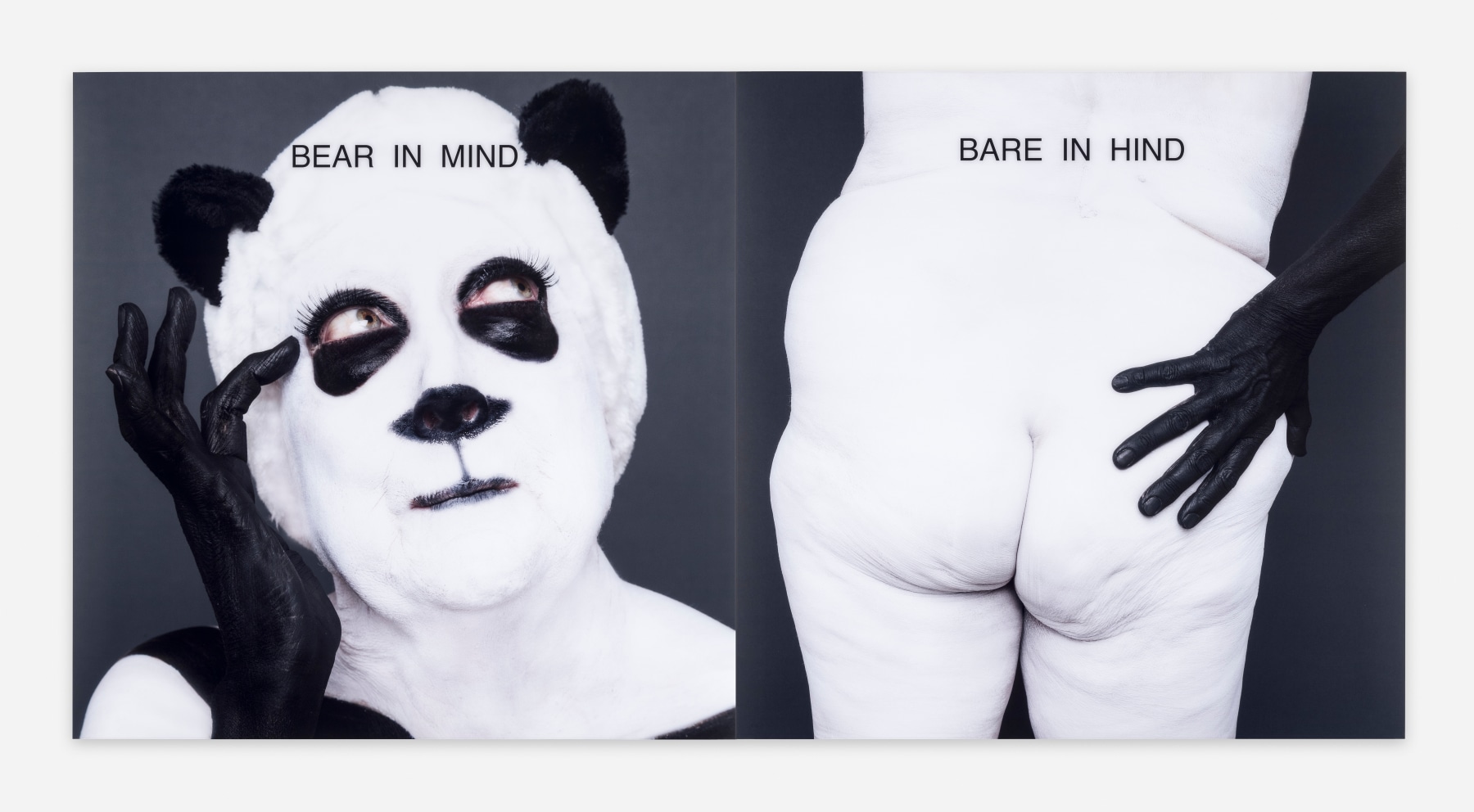 Martha Wilson, Bear in Mind/Bare in Hind, 2014