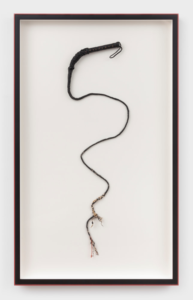 Carlos Motta, Corpo Fechado