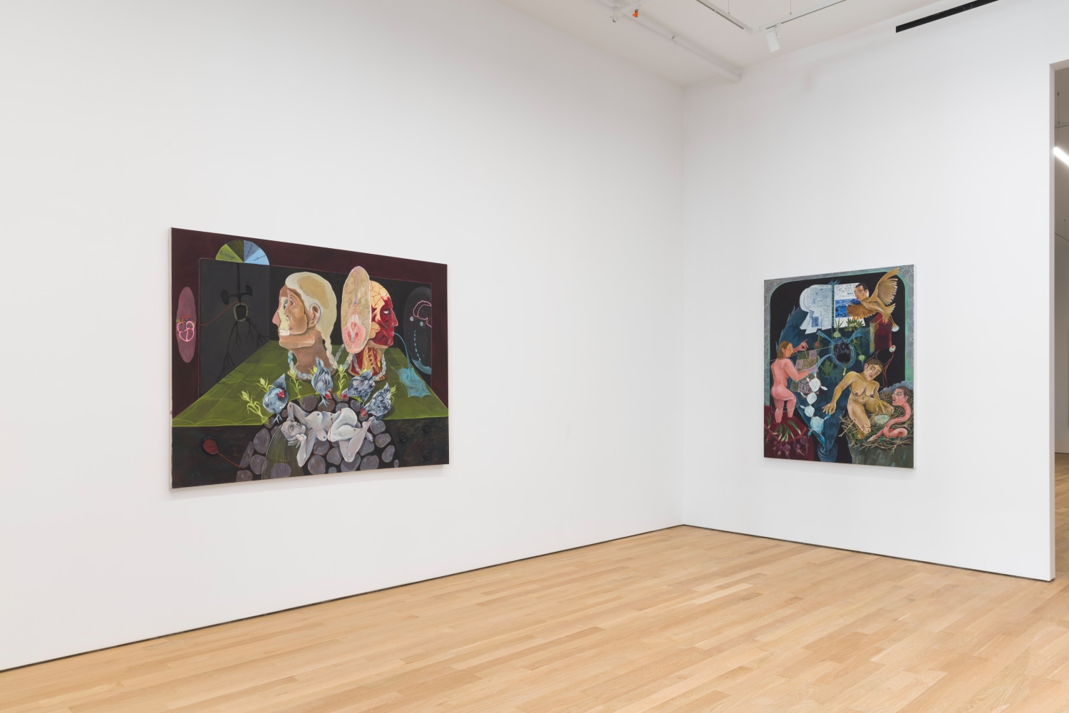 Astrid Terrazas, La Jardinera, installation view 5