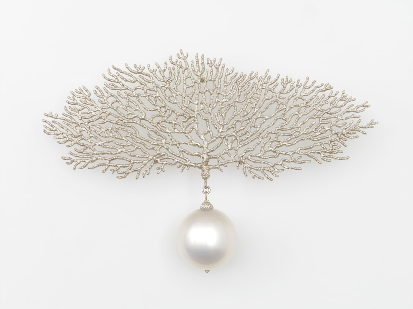 Timothy Horn, Gorgonia 8 (bellwether), 2015