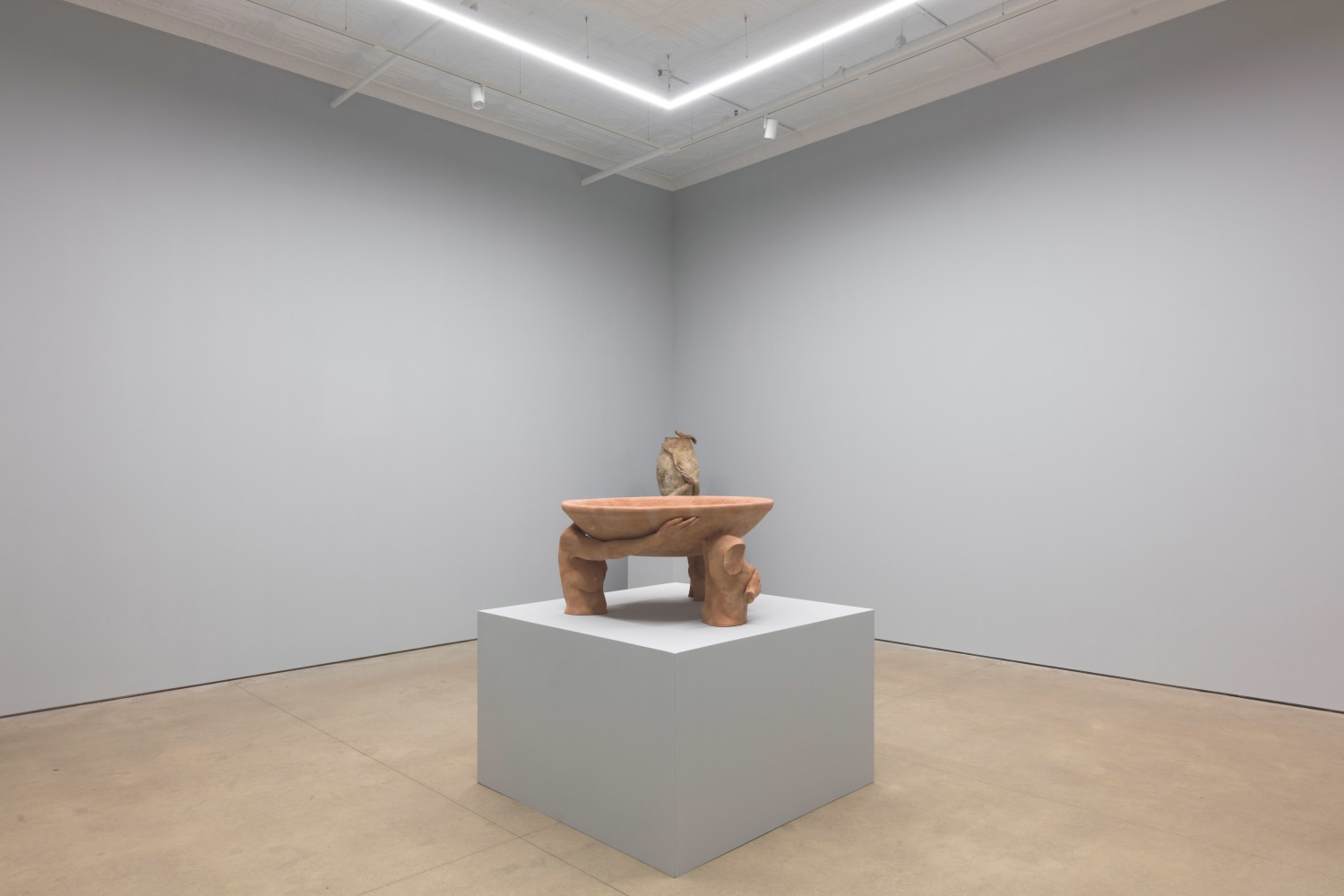 Knots, 2022, install 1