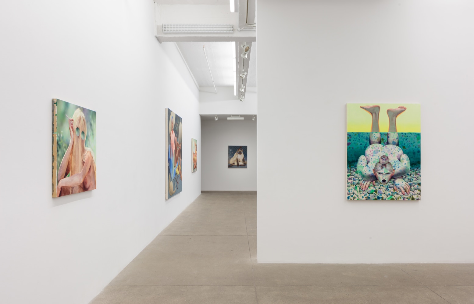 Robin F. Williams, Your Good Taste Is Showing install 3