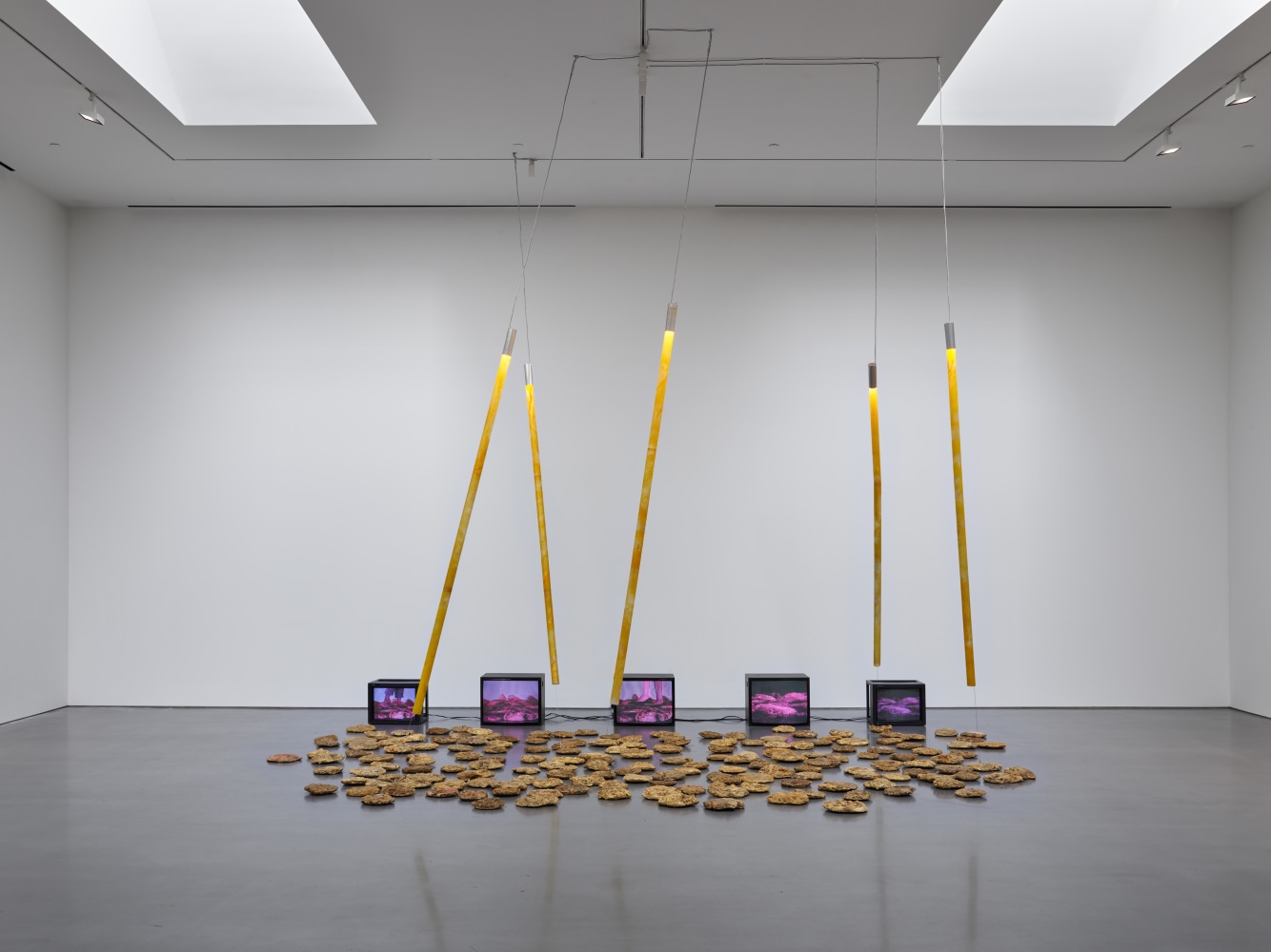 Carolee Schneemann (Installation View) Lisson Gallery, Los Angeles, CA, April 11 &amp;ndash; May 24, 2025