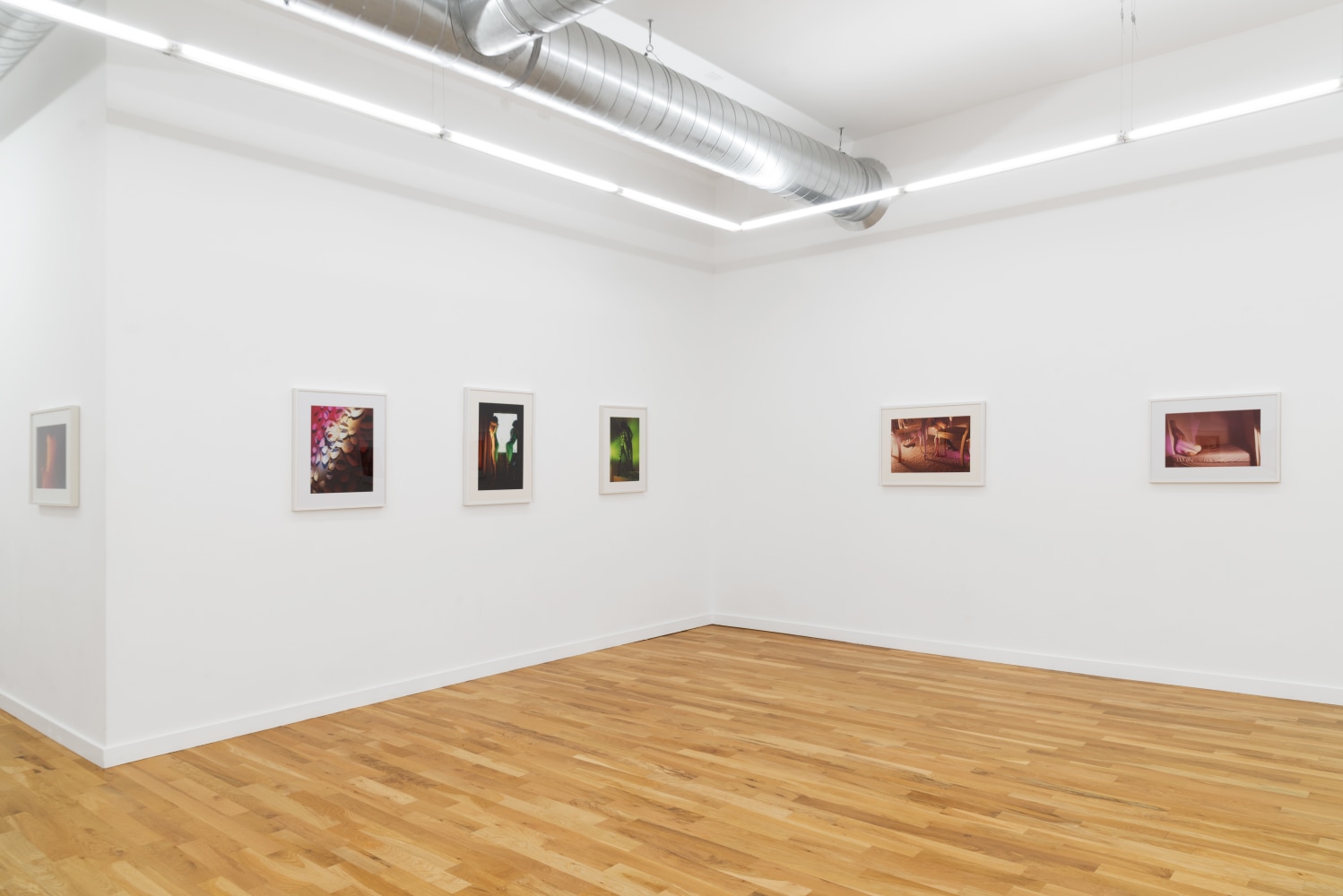 Suburban (Installation View) DOCUMENT, Chicago IL, September 8 &amp;ndash; October 28, 2023. Photo: DOCUMENT, Chicago.