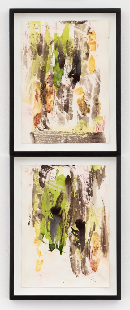 Carolee Schneemann, Diario Cada Dia (3), 2007