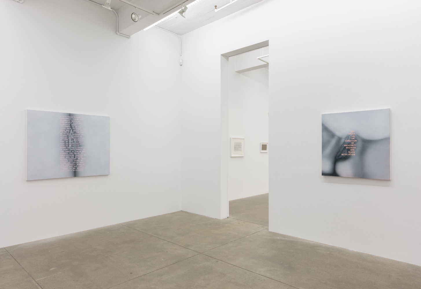 Betty Tompkins, Will She Ever Shut Up? install 6