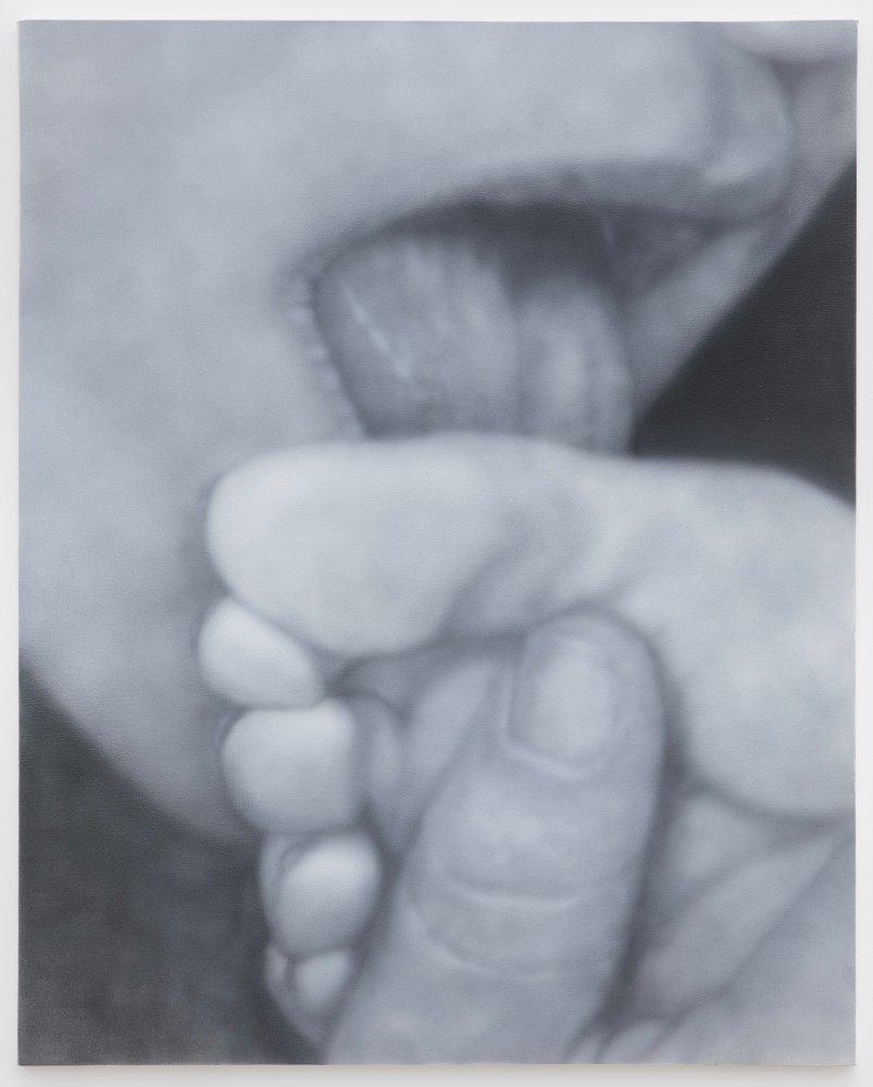 Betty Tompkins
Sex Painting #4, 2013
acrylic on canvas
84 x 60 ins.
213.4 x 152.4 cm