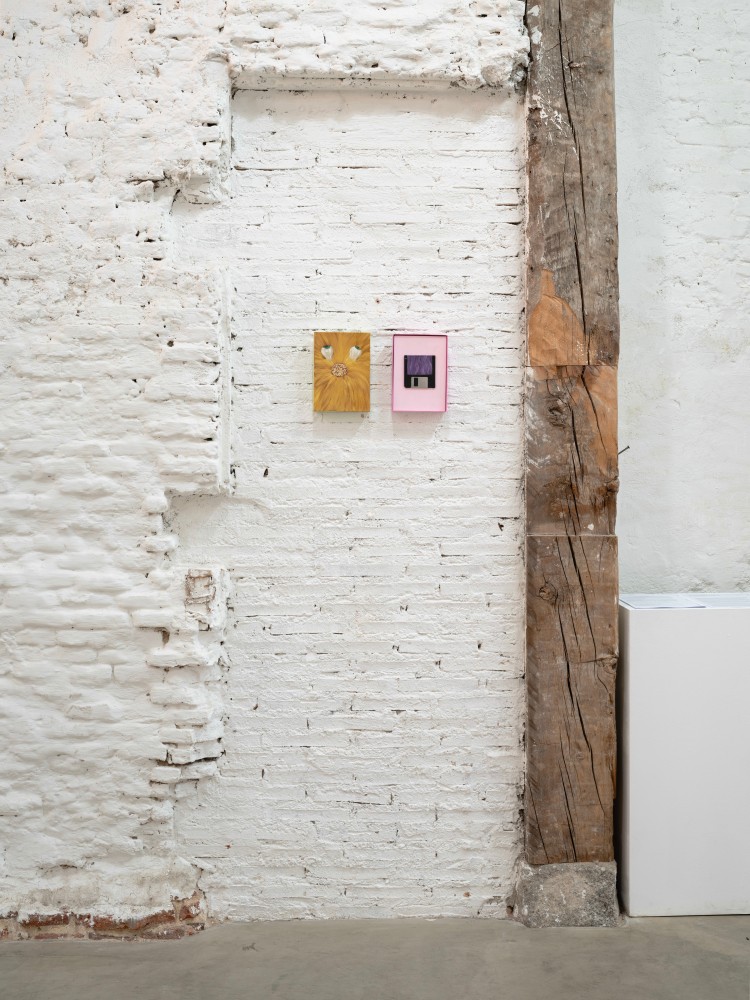 (Installation View) Suzanne Treister: From Fictional Videogames to Hypothetical Museums of the Future. Courtesy of the artist and The RYDER, Madrid.