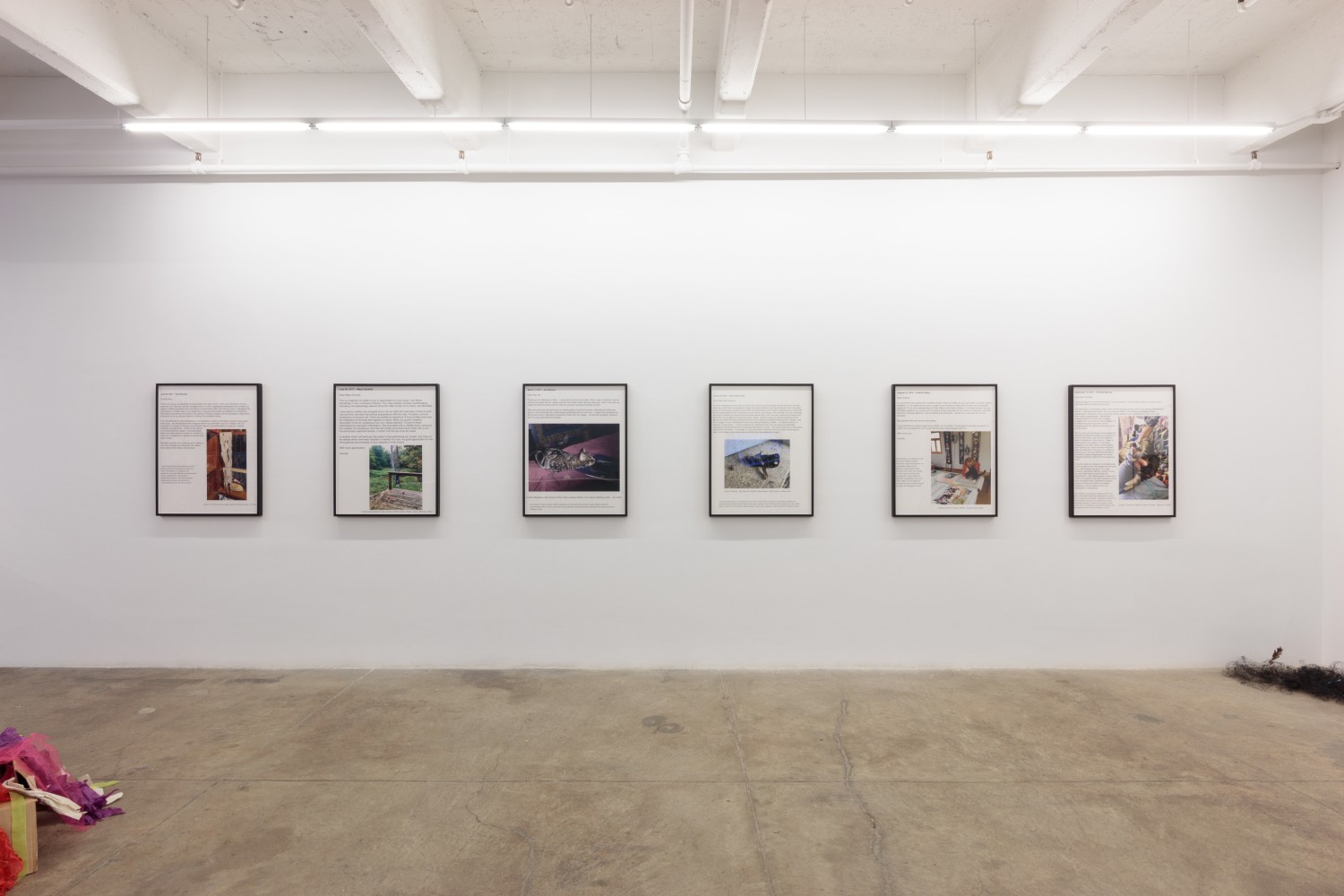 Carolee Schneeman, Tooth and Paw install 3