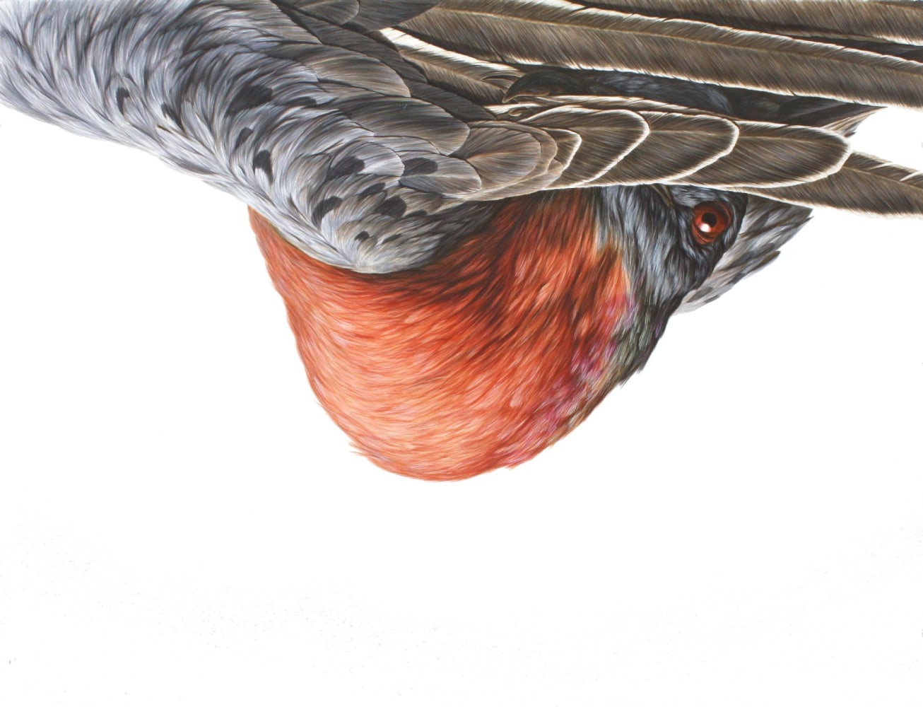 George Boorujy, Passenger II, 2013