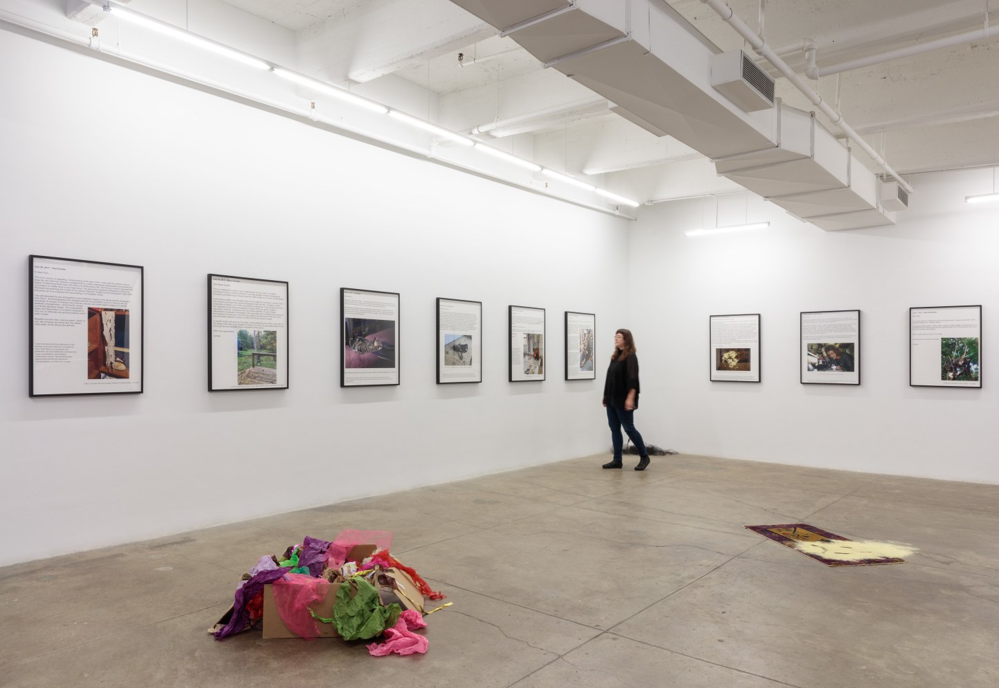 Carolee Schneeman, Tooth and Paw install 5