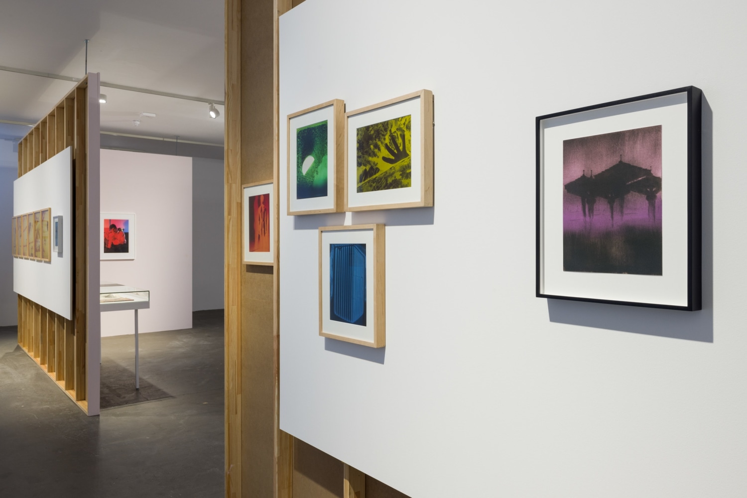 Installation view of the exhibition Jimmy DeSana &amp;amp; Paul P. &amp;ndash; Ruins of Rooms at KW Institute for Contemporary Art, Berlin 2024, Photo: Frank Sperling.