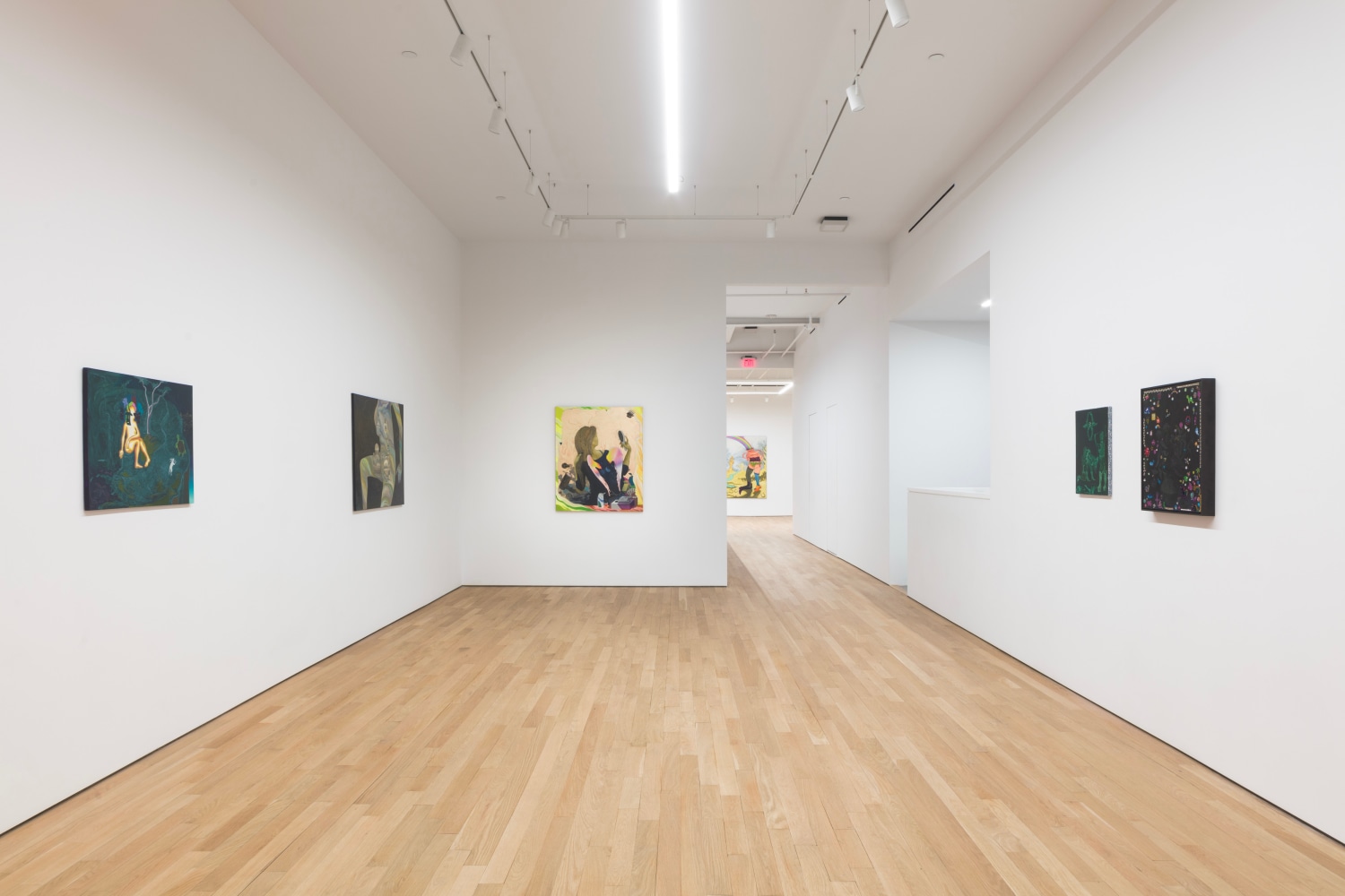 Hortensia Mi Kafchin