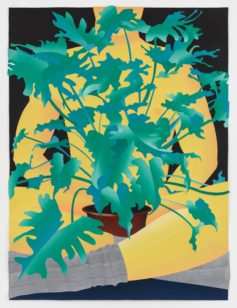 Anthony Iacono, Plant, 2018