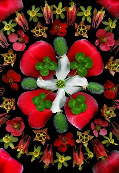 Portia Munson, Pagan Poppy Pope, 2004