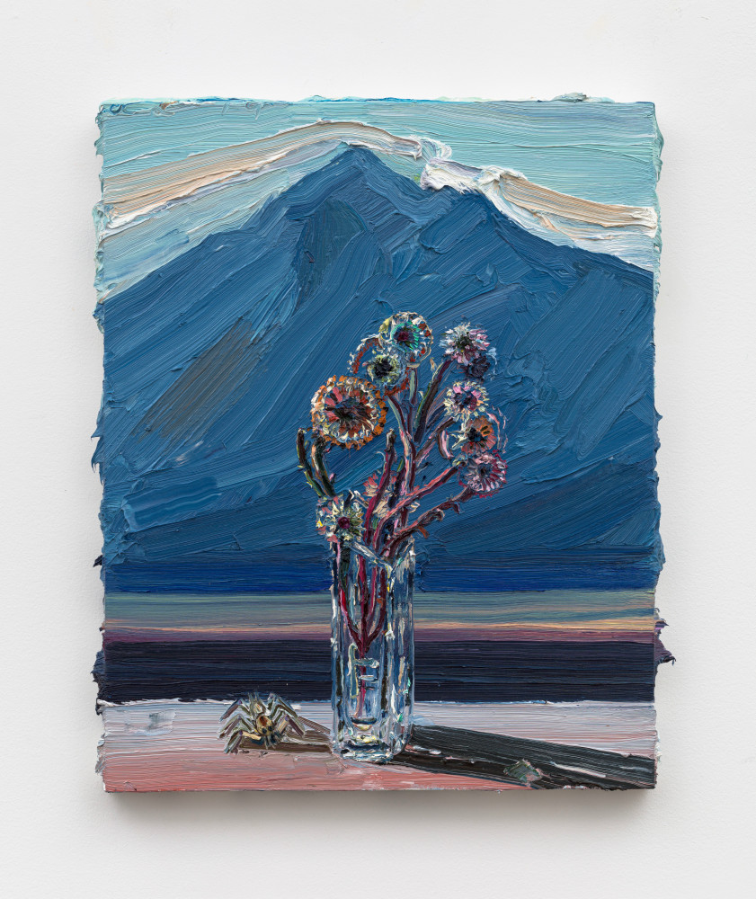 Allison Schulnik
Blue Mountain (for Hockney), 2019
oil on canvas stretched over panel
30 x 24 ins.
76.2 x 61 cm