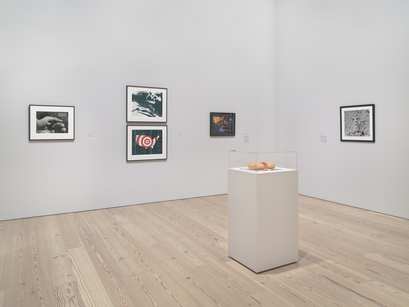 Installation view of&amp;nbsp;David Wojnarowicz: History Keeps Me Awake at Night, Whitney Museum of American Art, New York, July 13-September 30, 2018.&amp;nbsp;Photograph by Ron Amstutz.