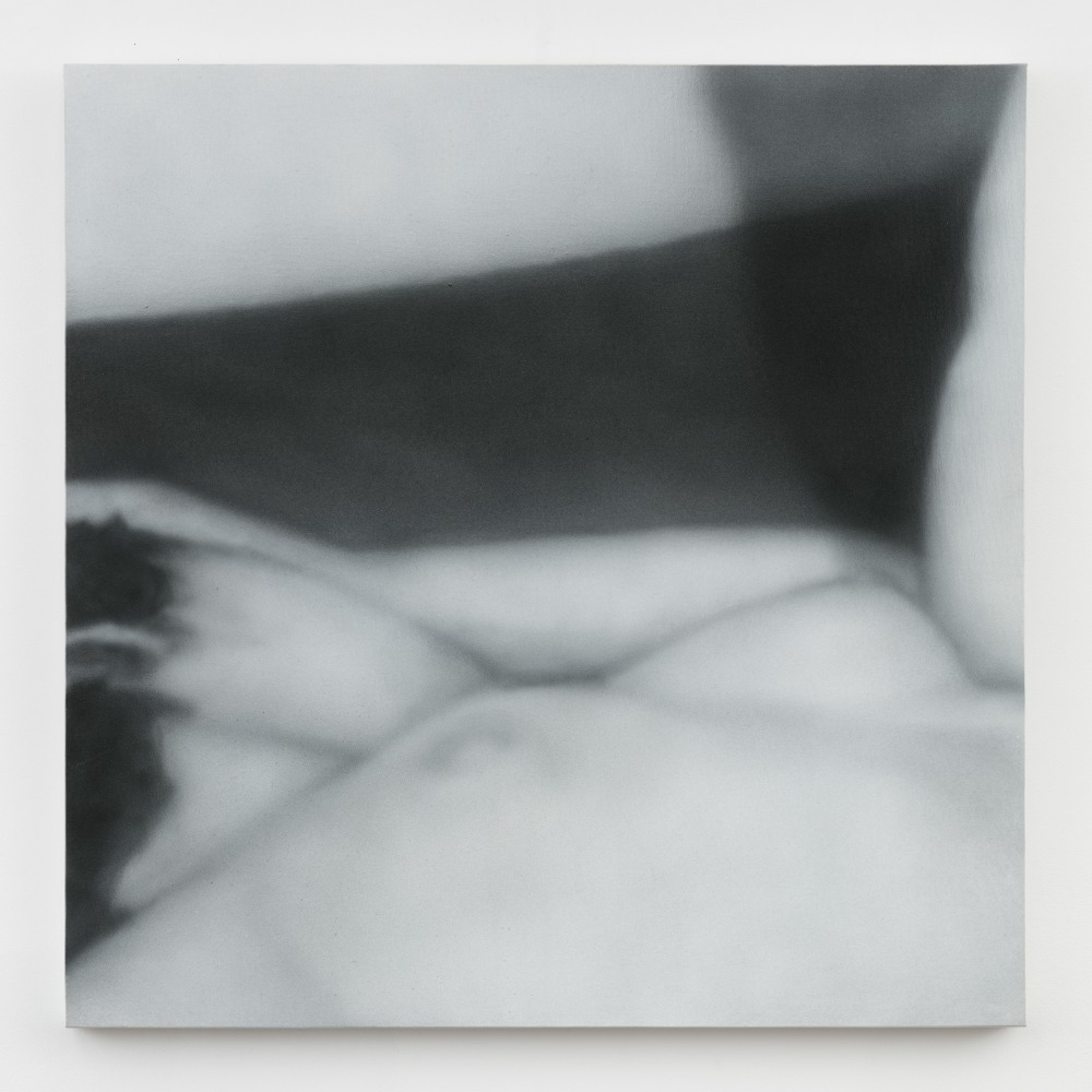 Betty Tompkins
Sex Painting #2, 2010
acrylic on canvas
36 x 36 ins.
91.4 x 91.4 cm