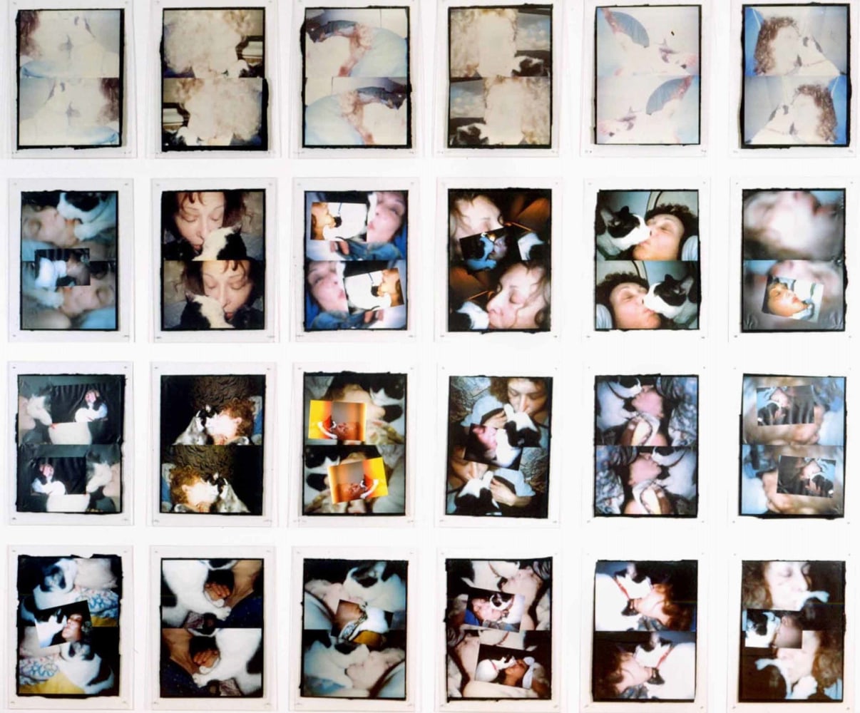 Carolee Schneemann, Infinity Kisses II (Vesper), 1990-98