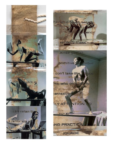 Carolee Schneemann, Interior Scroll (Vision Archive), 1975/2005