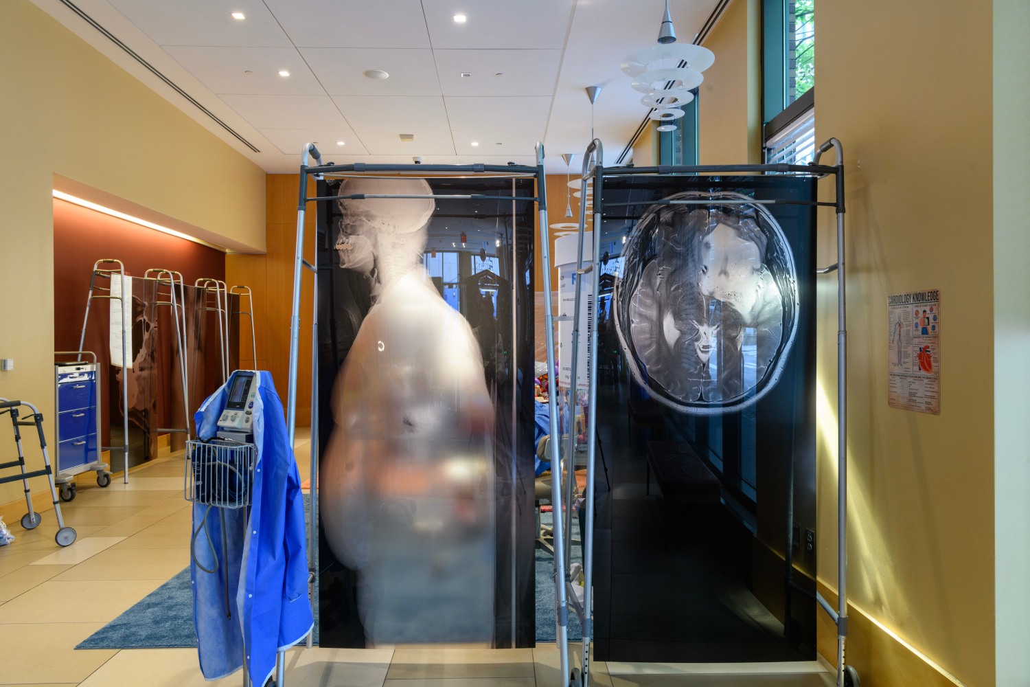 Pep&amp;oacute;n Osorio: Convalescence (Installation View), Philadelphia Contemporary, PA. Photo by Constance Marsh