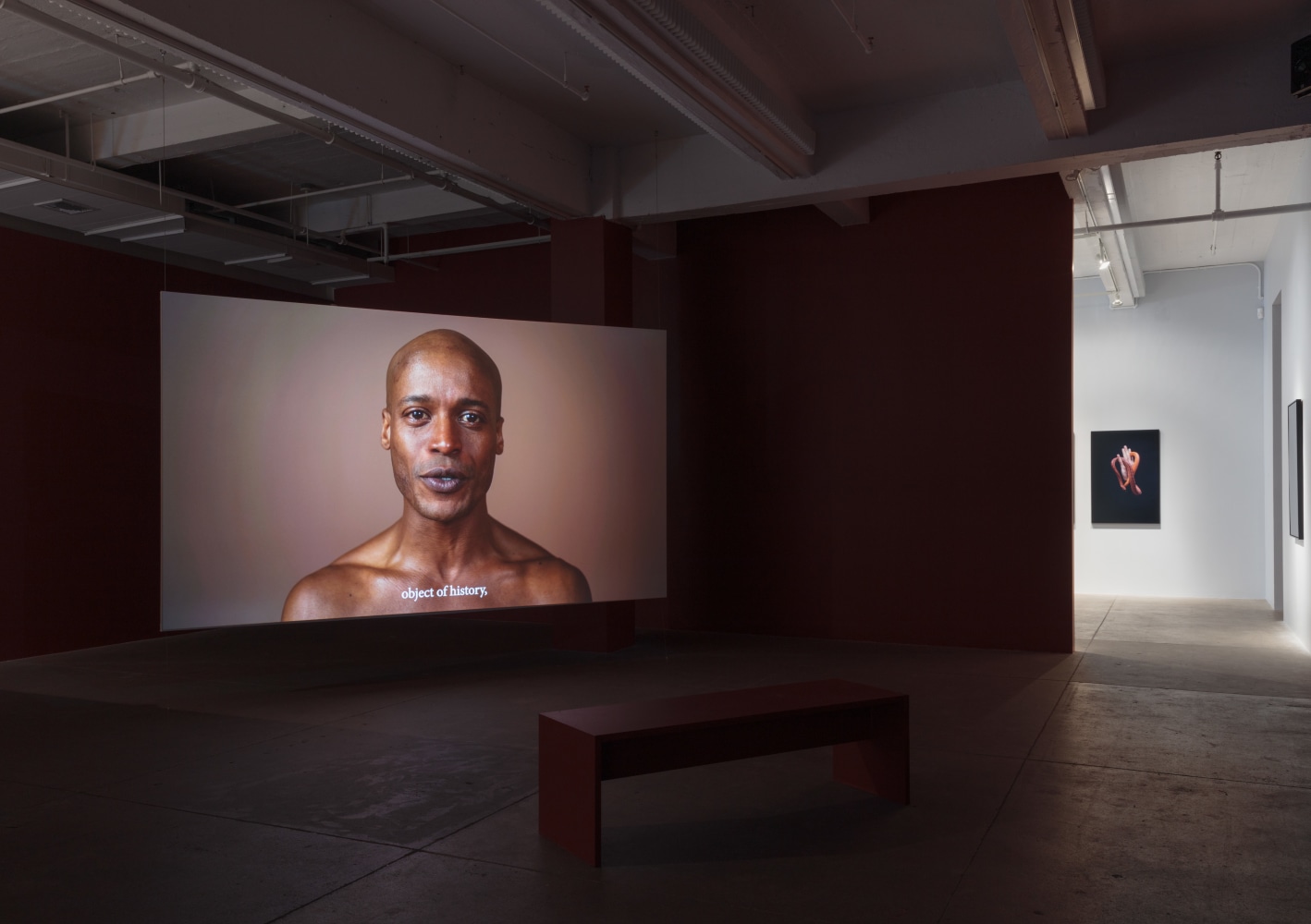 Carlos Motta, Conatus install 7