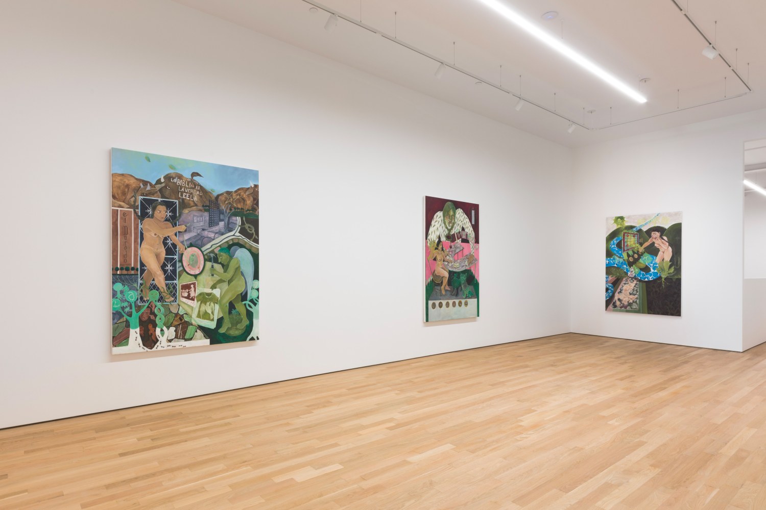 Astrid Terrazas, La Jardinera, installation view 12