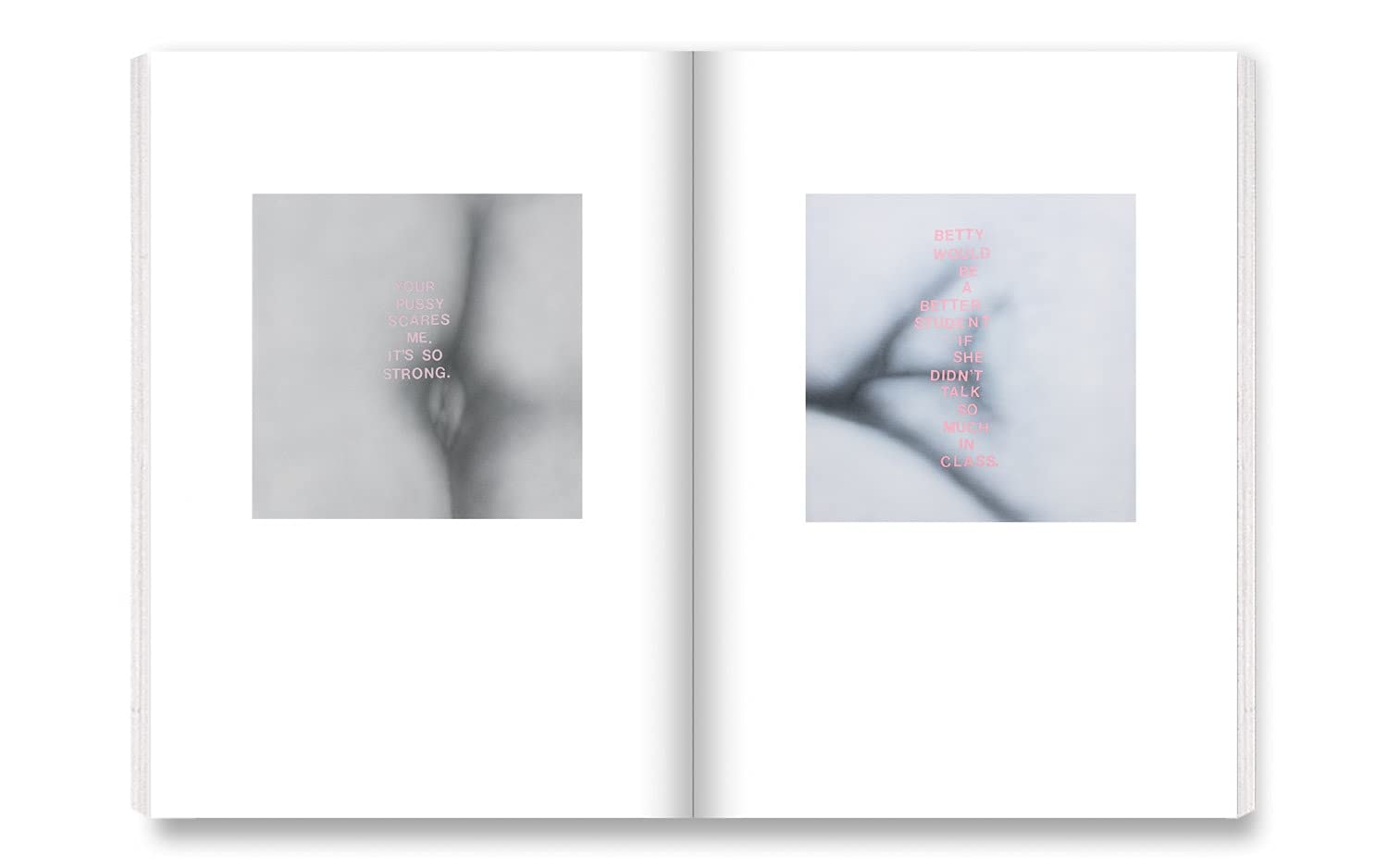 Betty Tompkins: Raw Material