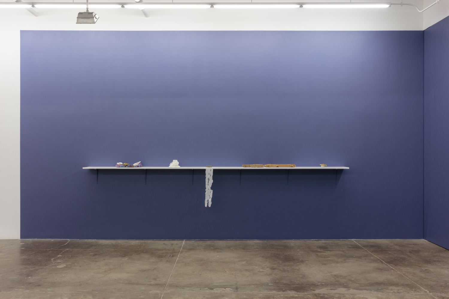 Carolee Schneeman, Tooth and Paw install 6