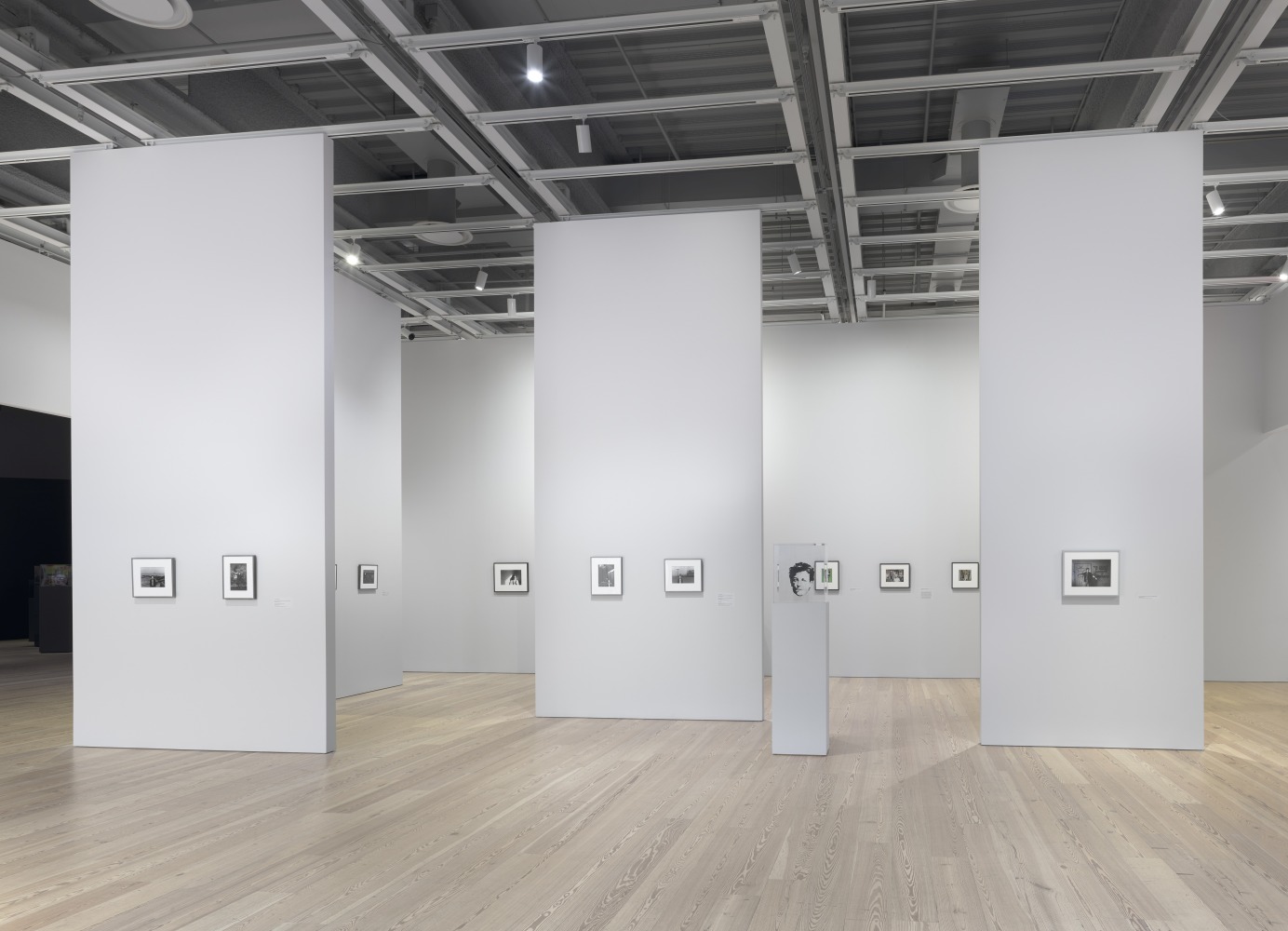 Installation view of&amp;nbsp;David Wojnarowicz: History Keeps Me Awake at Night, Whitney Museum of American Art, New York, July 13-September 30, 2018.&amp;nbsp;Photograph by Ron Amstutz.