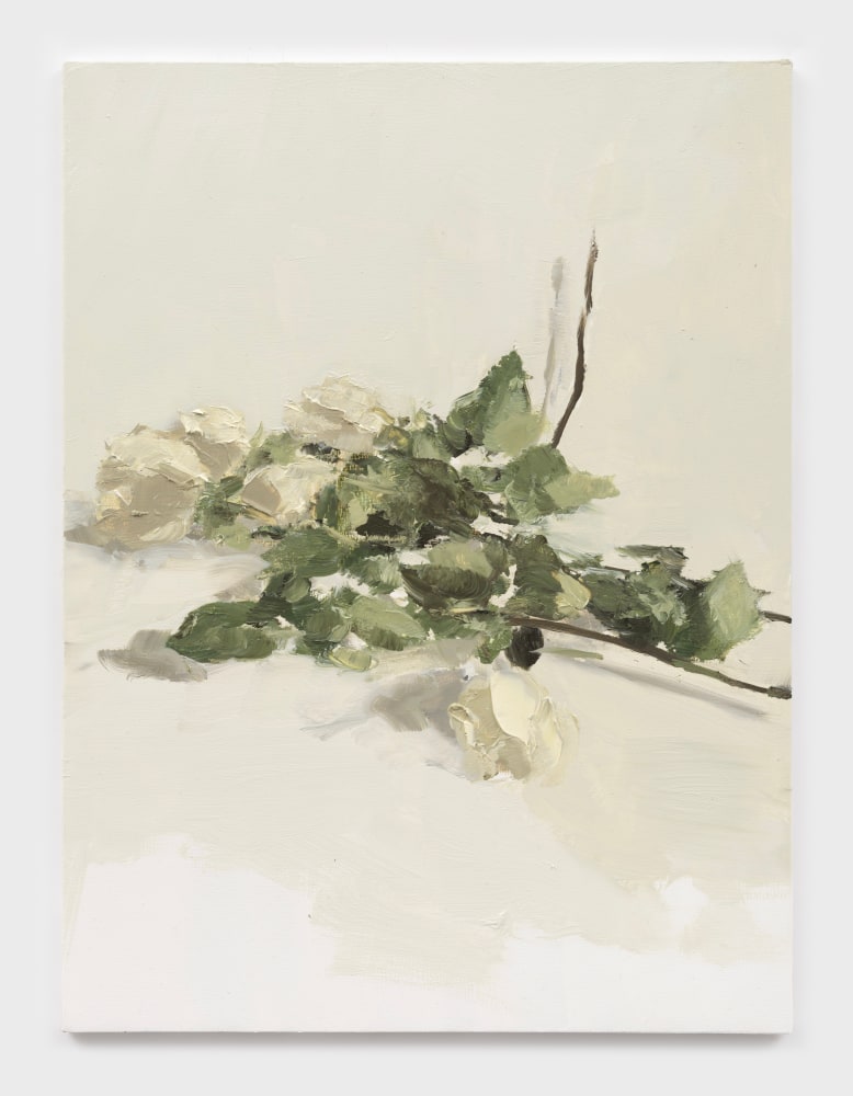 Dana DeGiulio
A body as the object of knowledge, 2023
oil on panel
16 x 12 ins.
40.6 x 30.5 cm