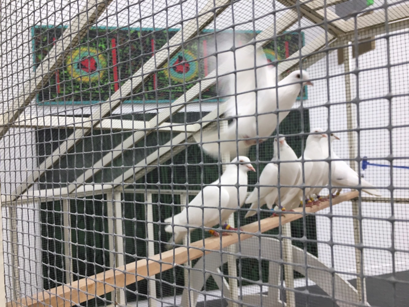 Frieze New York 2017 install 5