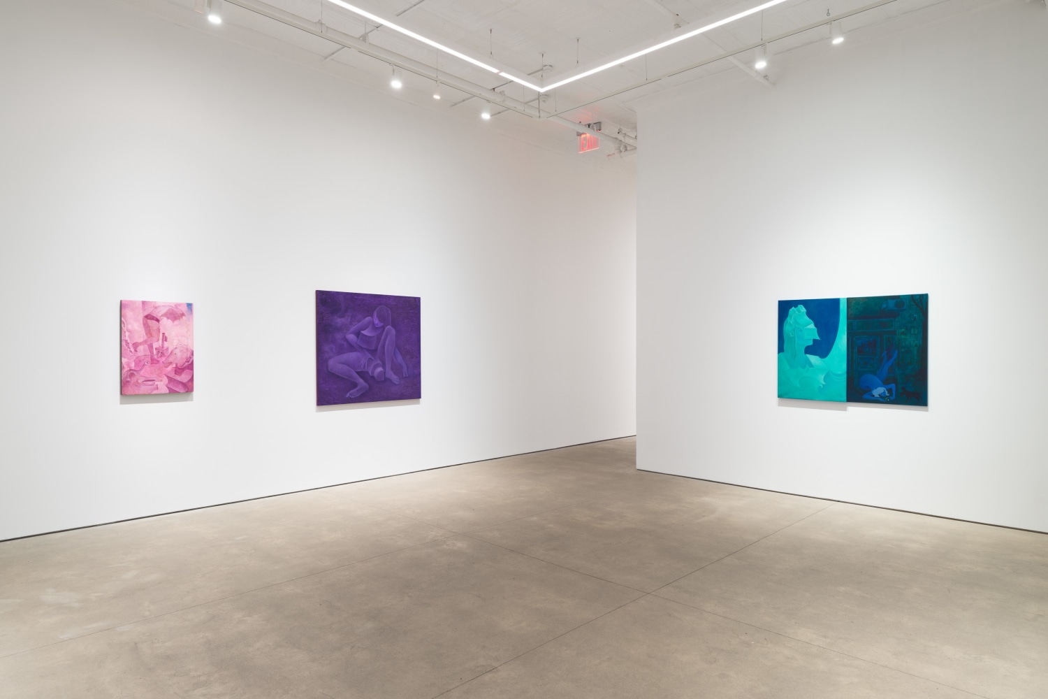 Hortensia Mi Kafchin