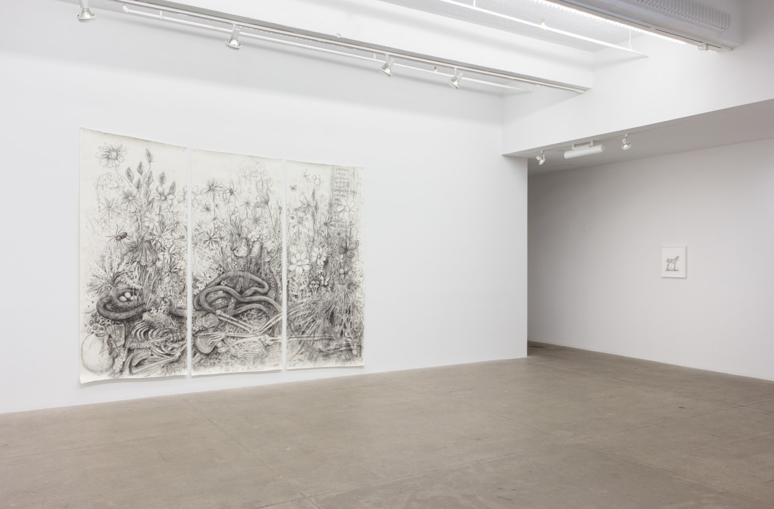 Aurel Schmidt, I Rot Before I Ripen install 3