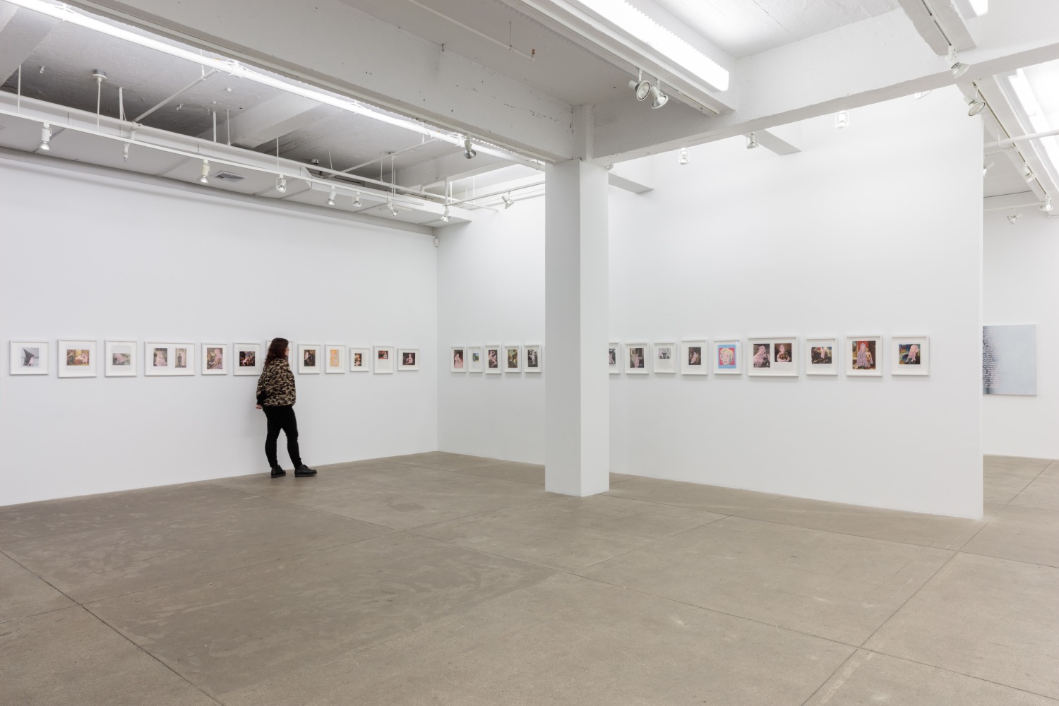 Betty Tompkins, Will She Ever Shut Up? install 3