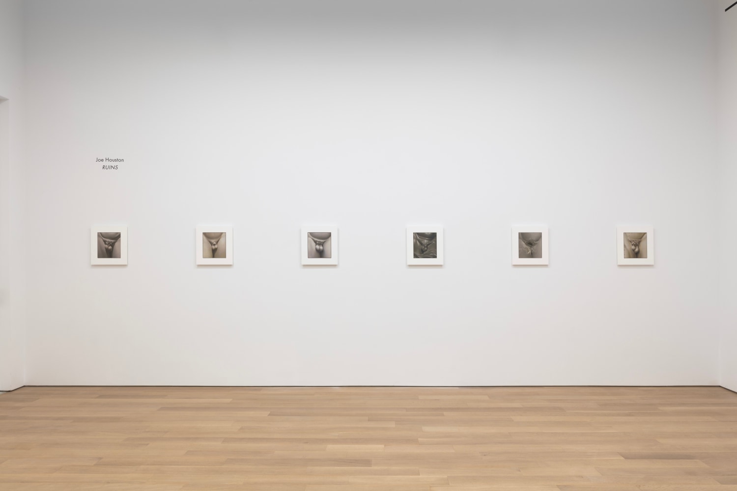 2021_RUINS_install 1