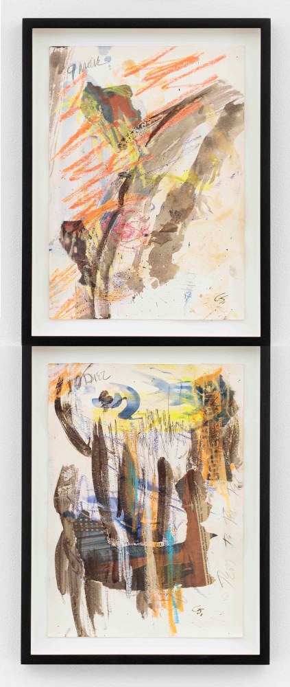 Carolee Schneemann, Diario Cada Dia (4), 2007