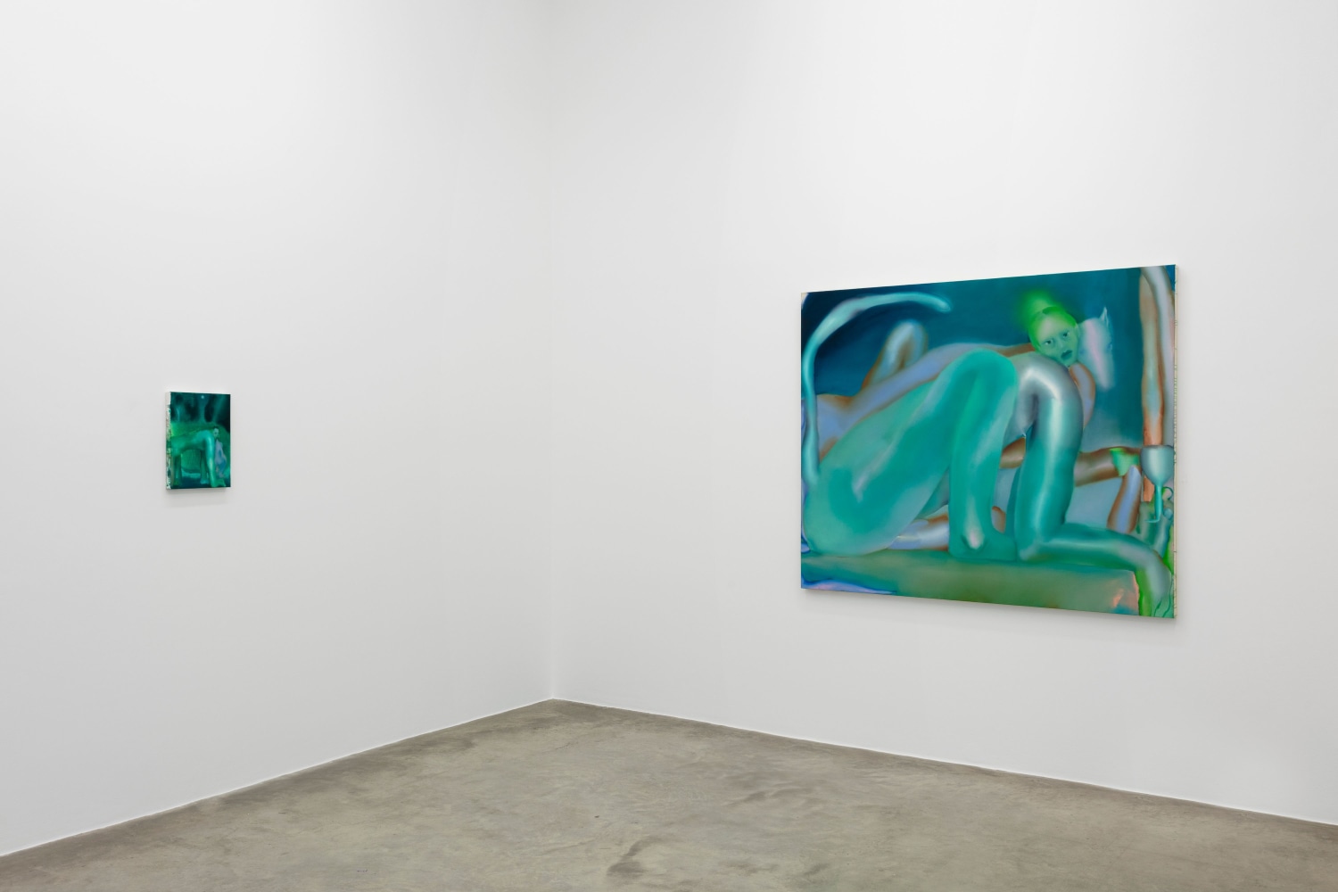 Elizabeth Glaessner, Dead Leg, installation view 9