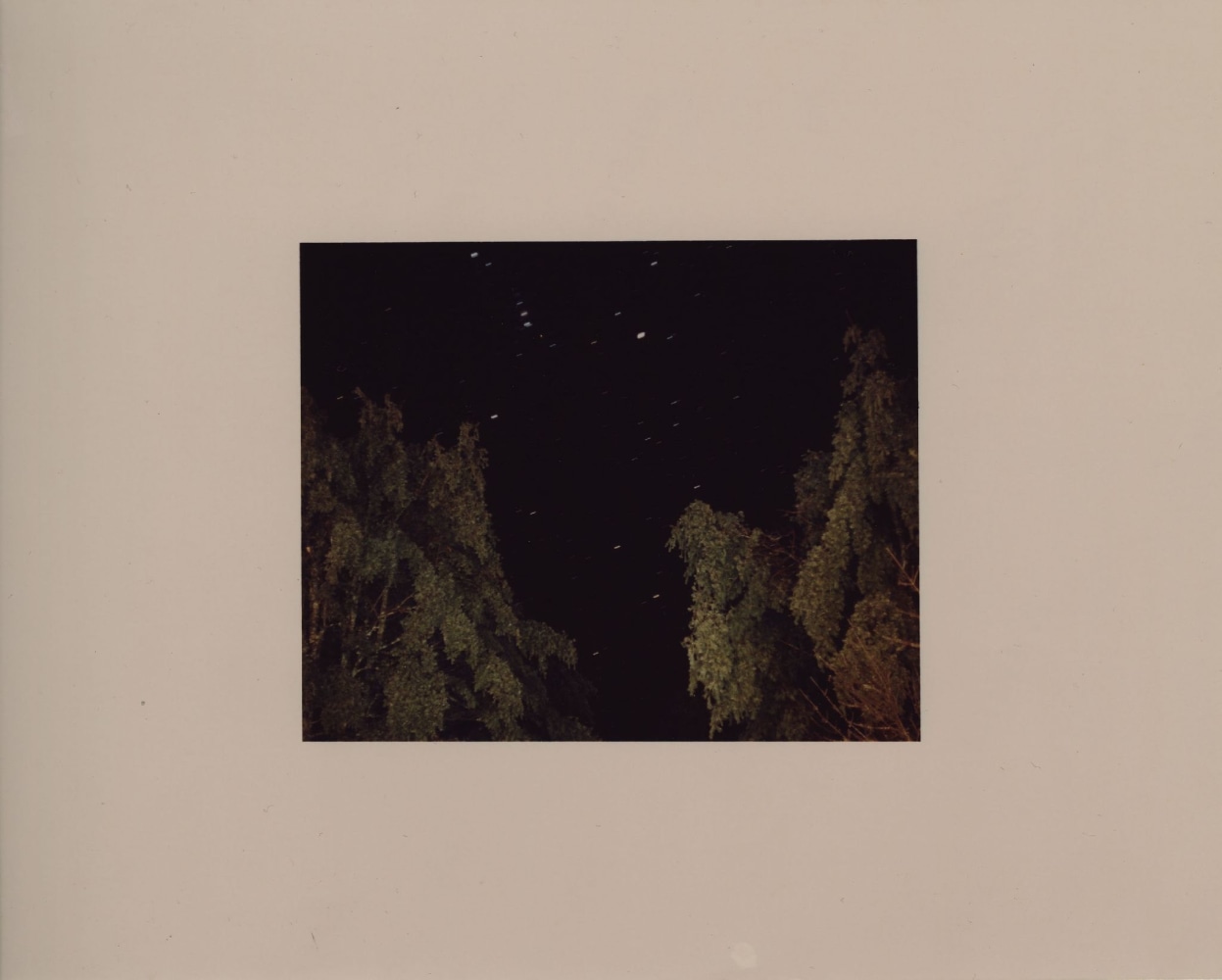 Adam Putnam, Frozen Forest, 2016-2017