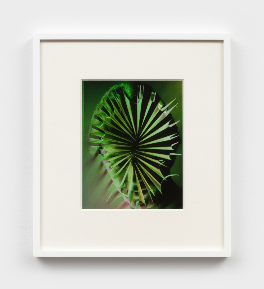 Jimmy DeSana
Towel, 1985
Cibachrome
10 x 8 ins.
25.4 x 20.3 cm
&amp;nbsp;