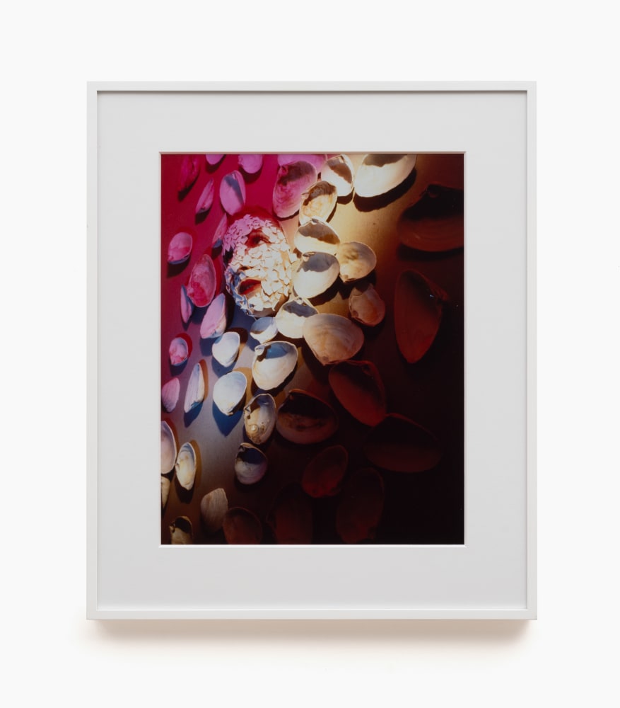 Jimmy DeSana
Seashells and Eggshells, 1982
Vintage C-print
Framed Dimensions:
26 x 21 3/4 x 1 3/8
inches
(66 x 55.2 x 3.5 cm)
Image Dimensions:
18 7/8 x 14 3/4 inches
(47.9 x 37.5 cm)