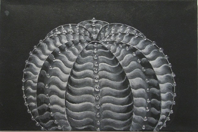 Martin Wong, Euphobia Obesa, 1997-98