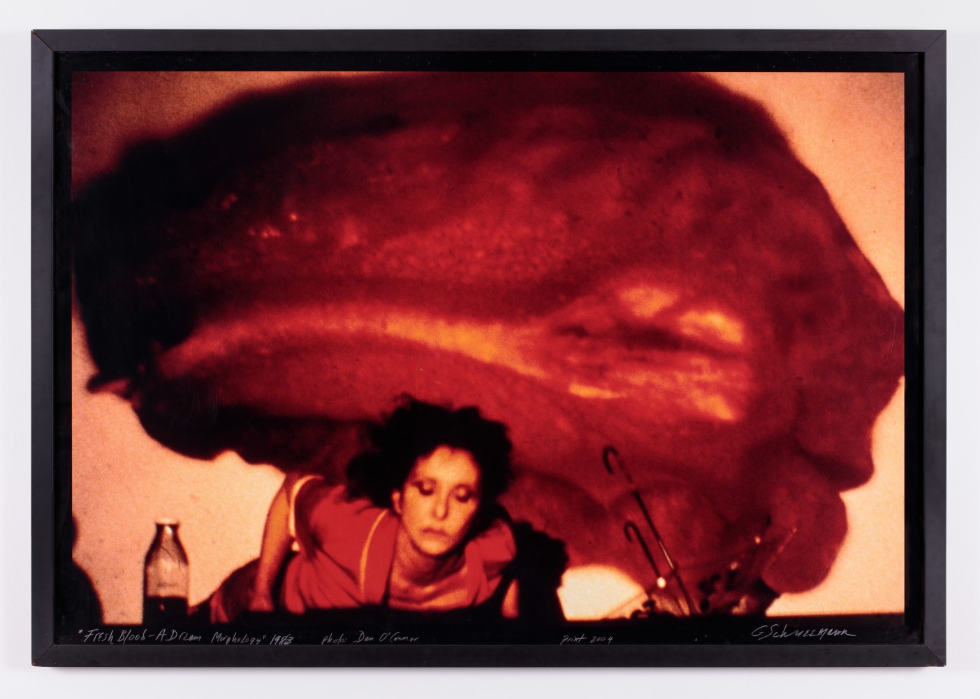 Carolee Schneemann, Fresh Blood - A Dream Morphology, 1983/2004