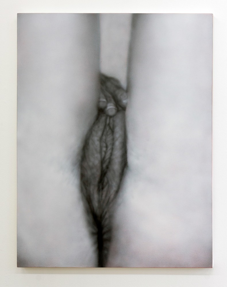 Betty Tompkins, Masturbation Painting #2, 2009
