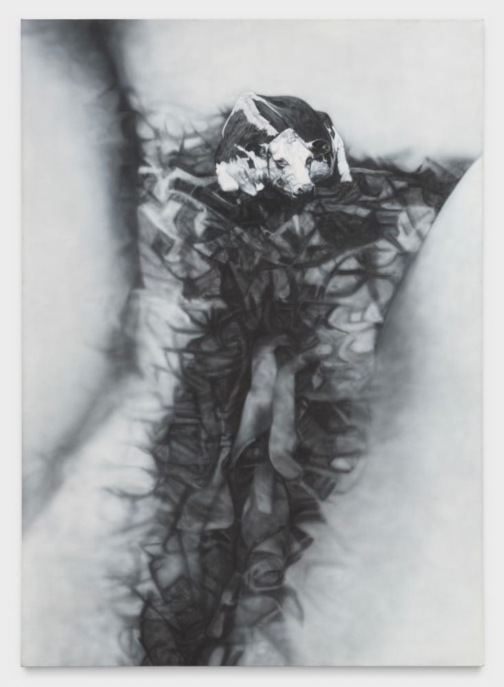 Betty Tompkins
Cow Cunt #1, 1976
acrylic on canvas
84 x 60 ins.
213.4 x 152.4 cm