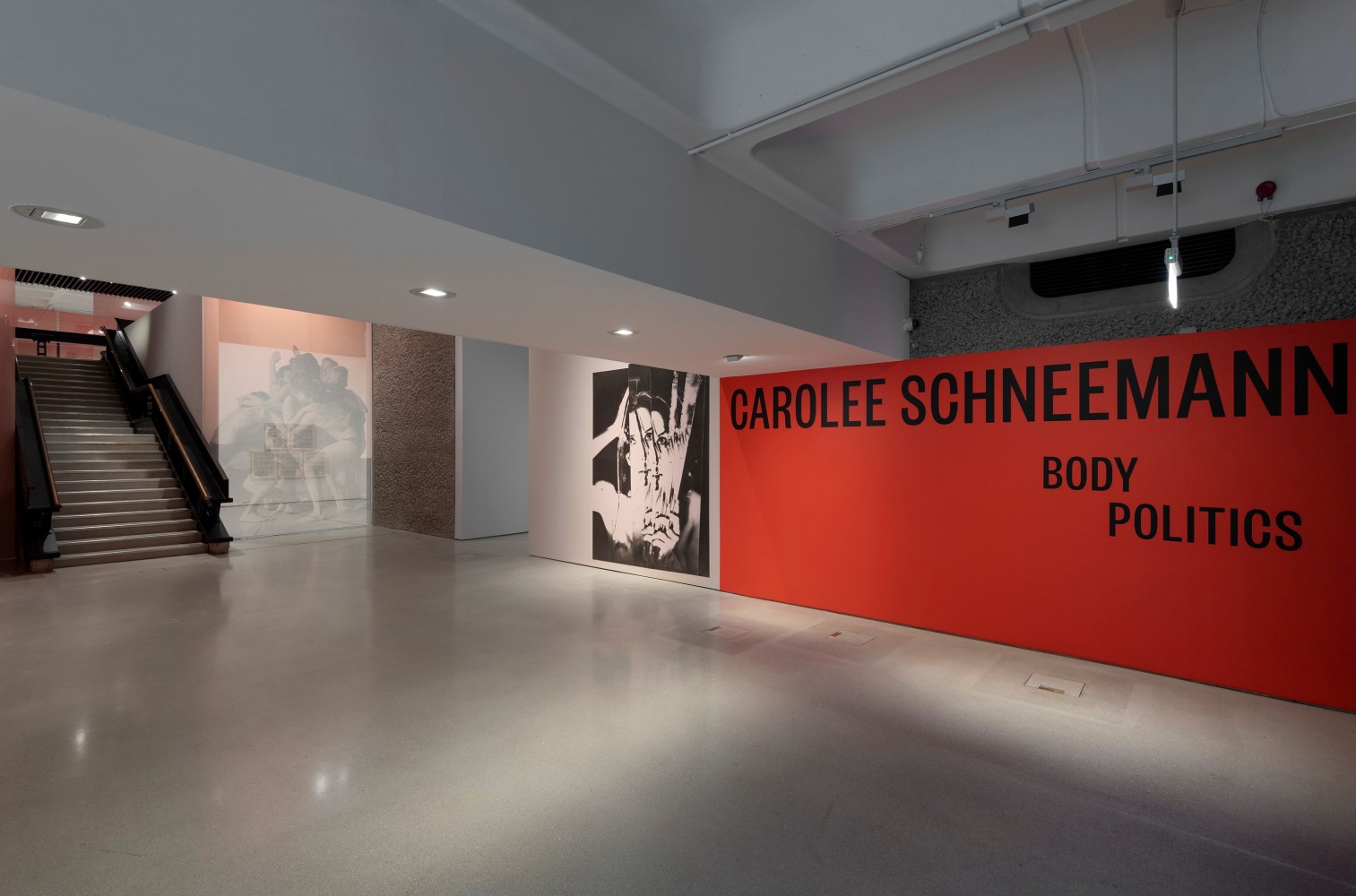 Carolee Schneemann: Body Politics, installation view 12