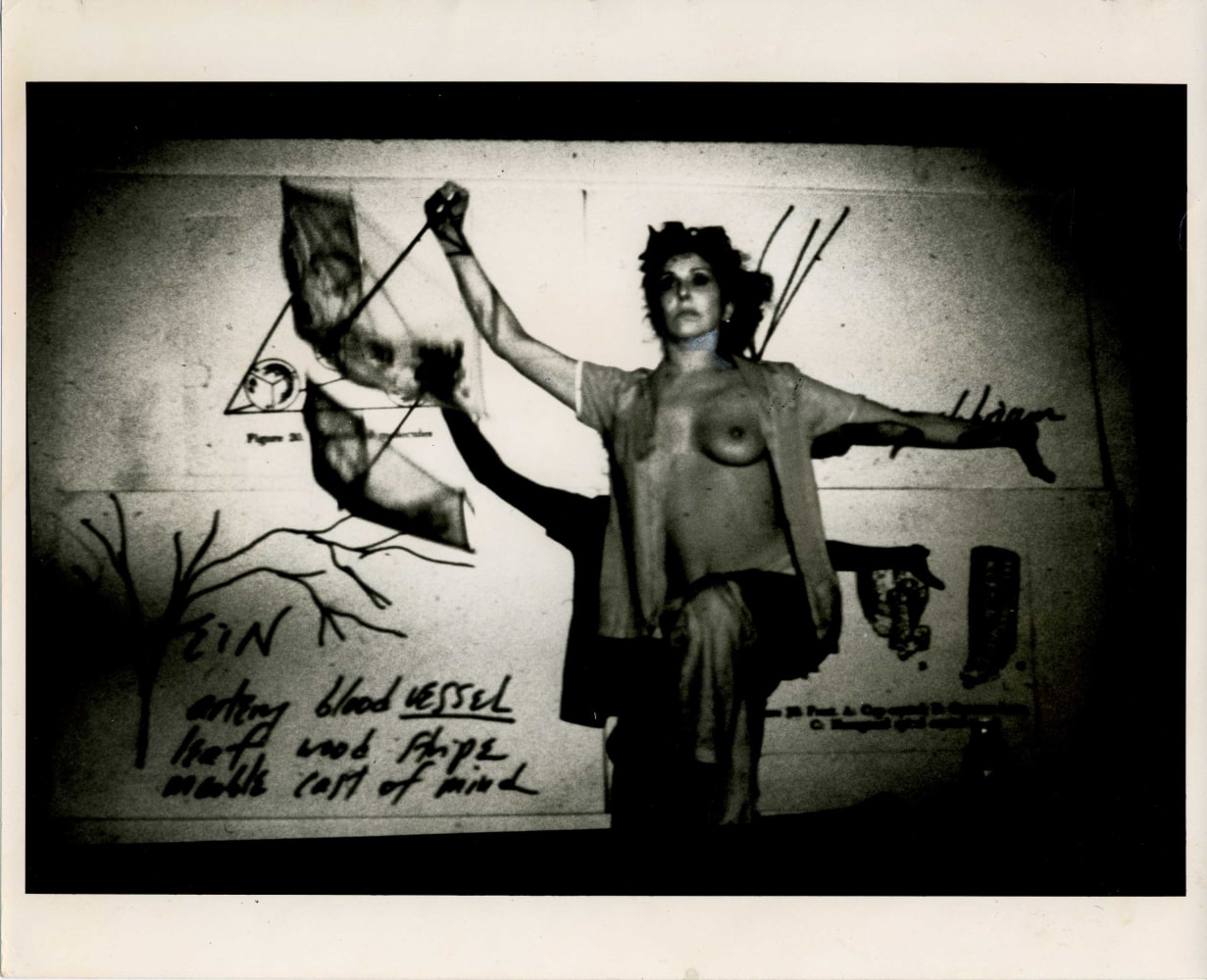 Carolee Schneemann, Fresh Blood- A Dream Morphology, 1981-86 unsigned