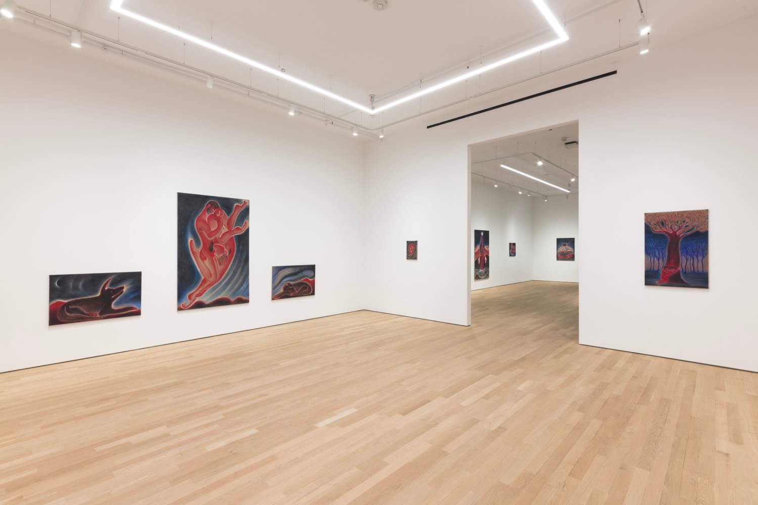 Daniel Correa Mej&iacute;a