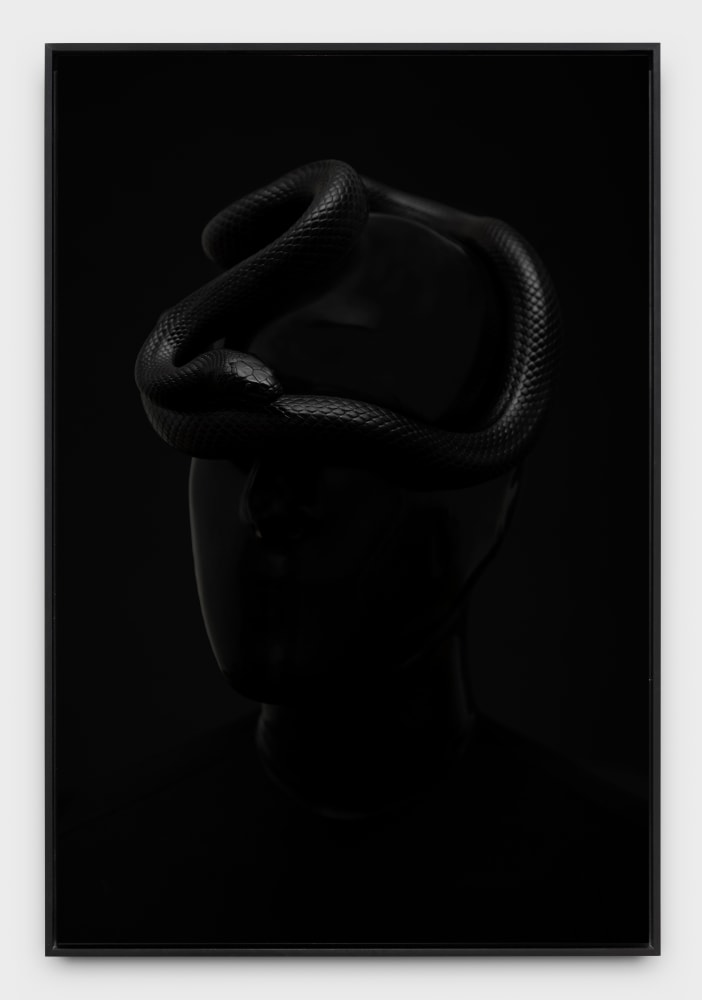 Carlos Motta, Untitled #1 (from the series Midway upon the journey of our life/I found myself within a forest dark,/For the straightforward pathway had been lost